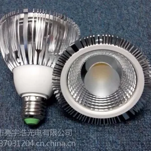 ��ӦPAR30���7W