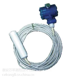 供应BUS601沉入缆式电感液位变送器/厂家