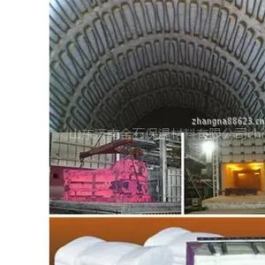 供应辊道窑保温专用陶瓷纤维保温棉块锚固件