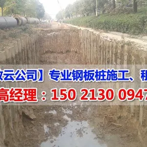 供应江苏钢板桩施工队就找敦云工程公司,质优价廉!