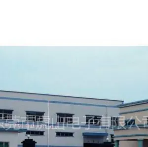 东莞市虎山电子有限公司