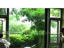 供应东莞防爆膜/玻璃纸/建筑膜/装饰膜/隔热膜价格