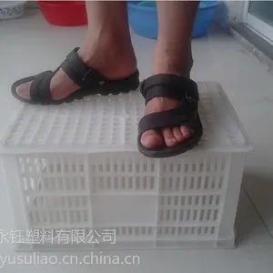 供应安丘水果筐,安丘塑料筐,安丘塑料周转筐,安丘塑料筐价格