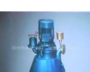 供应300WFB-BD3无密封自吸泵