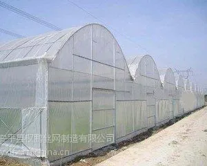 供应防虫网