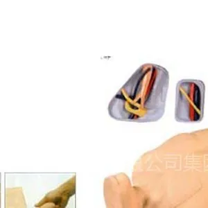 供应骨穿刺训练模型-注射训练模型-医学模型