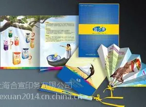 供应画册印刷 画册设计 质量*** 价格优惠企业画册 产品画册 宣传画册 画册印刷样本设计