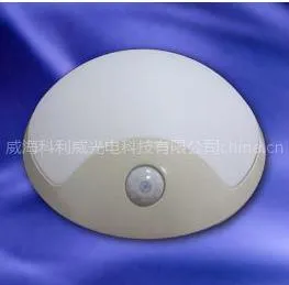 供应红外感应LED灯具