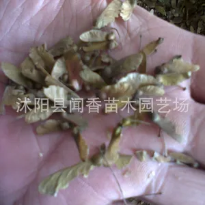 ��Ӧ�������***����������Ӽ۸� �������ֲ���� �ձ�����Ѽ۸�