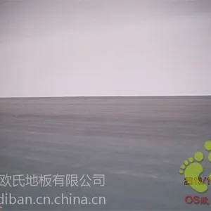 供应舞台地板 舞蹈地板 歌剧院地板 运动实木地板