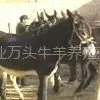 ��Ӧ��¿|��¿�۸�|³����¿��ֳ����