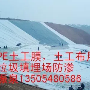 ��Ӧ���ü�԰��̩���������Ĥ|��������Ĥ̩����������˹�������Ĥ