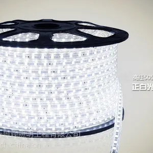 供应LED灯带 户外装饰灯 数码管 点光源 LED灯具