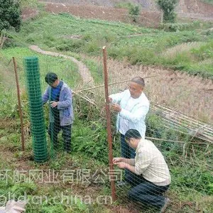 供应2米高家禽养殖用铁丝网|家禽养殖铁丝围栏|家禽散养养殖围栏|散养铁丝围栏厂家