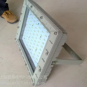 BAT85防爆LED泛光灯_BAT85-70b_BAT85-70m