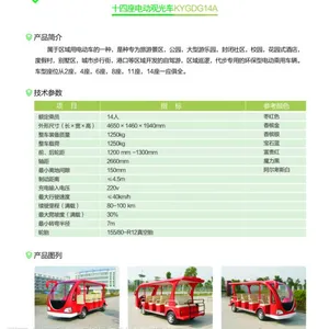 ��Ӧʮ�����綯�۹⳵
