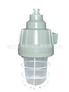 供应DCG53隔爆型防爆灯︱防爆灯具