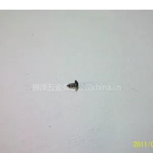 供应圆头带介自攻尖尾环保螺丝