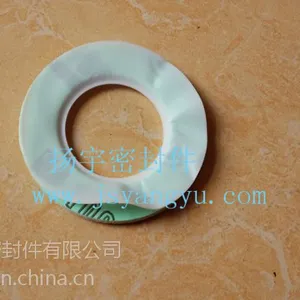聚四氟乙烯包覆非石棉垫片