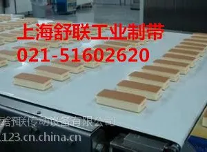 专业生产食品级输送带,烘烤食品冷却线输送带,食品级耐油输送带