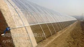 供应阴阳温室建设造价阴阳温室建设厂家阴阳温室建设尺寸