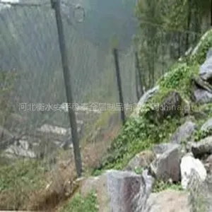 供应堤坝防护网、护栏网、边坡防护网
