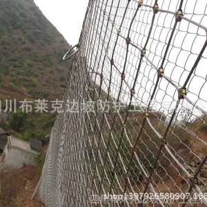 供应厂家直供 防护网 被动防护网 AX-015