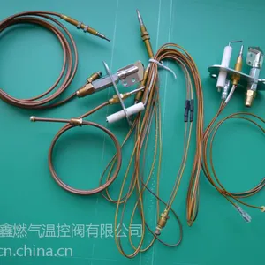 供应长明火组件,缺氧保护装置,ODS