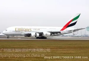 供应广州丽洋国际货运代理公司提供广州-中东国家国际空运