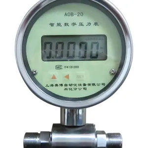 江苏厂家供应智能数字差压表
