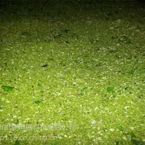 供应茉莉花热泵烘干机设备批发