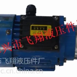 供应批发RHB小型三角泵及电机组