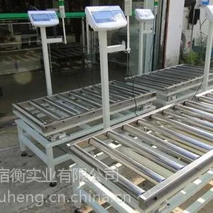 宿衡供应输送线定做滚轴称重带报警200kg电子秤 包装厂非标定做滚筒电子称