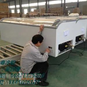 (上海自贸区DIG超市用的什么牌子的岛柜?)特粤冷柜