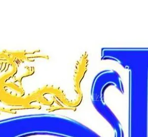 ��˾logo
