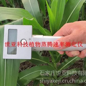 ��Ӧֲ���������ʲⶨ��