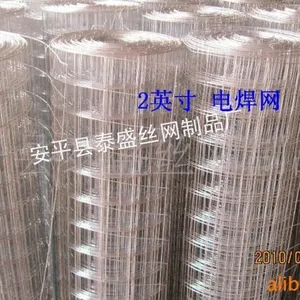 现货供应2寸热镀电焊网