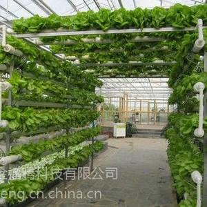 供应福腾阳台菜园