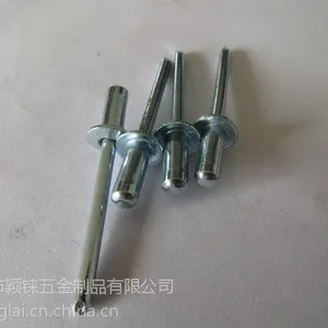 供应全铁封闭型抽芯铆钉，全铁防水型铆钉 ，铁封闭铆钉
