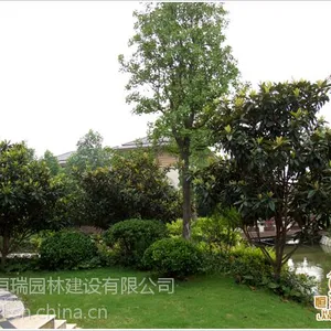 常州别墅庭院设计与施工 阳台花园设计与施工
