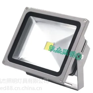 供应LED泛光灯 30W 我想LED泛光灯厂家-凯杰照明-最值得信赖的景观亮化灯具品牌