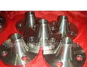 ��Ӧ904L ����ִ����Ժ����� WN Flange