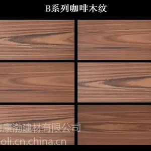 供应100x200x12咖啡木纹防滑砖