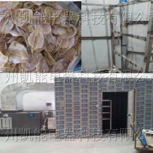 供应鱼干烘干机，专用鱼干烘干设备