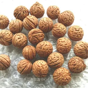 供应供山桃胡 毛桃胡种子50吨