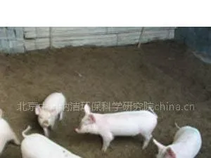 供应高效生态环保养殖(高效助长剂 无抗生物饲料 发酵床)