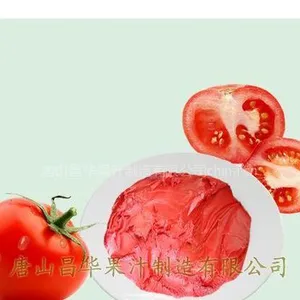 供应出口品质,番茄浓缩浆供应生产