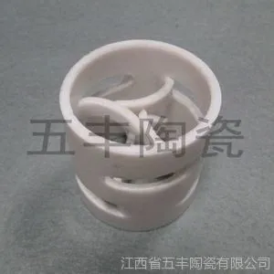 供应聚四氟乙烯鲍尔环