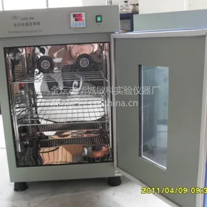 供应MK-DHP-500电热恒温培养箱