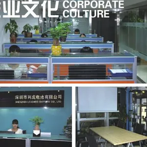 深圳市利虎电池有限公司